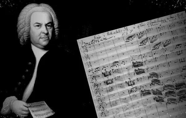 1319数字代表什么意思