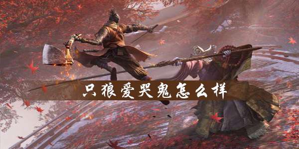 只狼爱哭鬼是谁