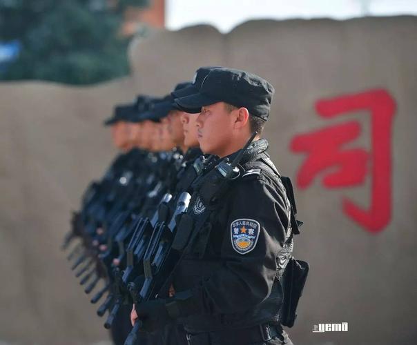 司法警务是干什么的