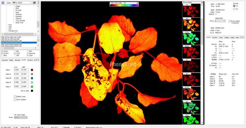 叶绿素a吸收什么光