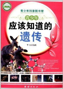 可以空腹吃红薯吗