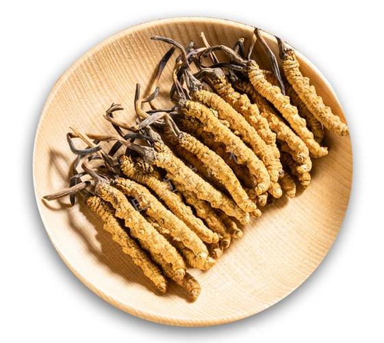 吃虫草有什么禁忌