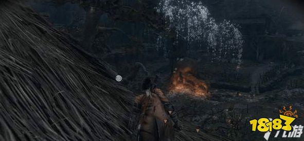 只狼潜水在哪学-只狼潜水怎么学