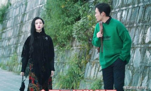 司藤和白英是什么关系