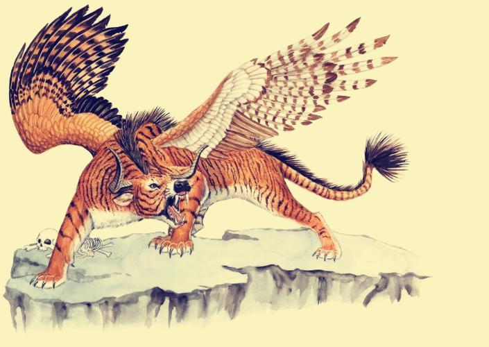 12生肖什么是天肖什么是地肖