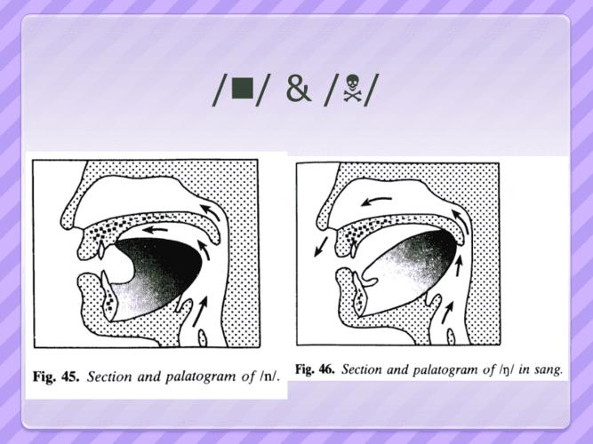 句读是什么意思