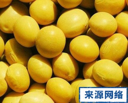 吃什么生精快提高质量