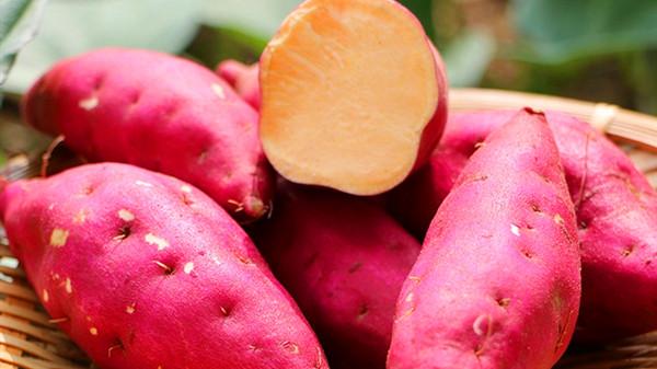 可以空腹吃红薯吗