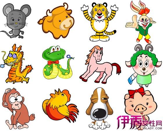 12生肖什么是天肖什么是地肖