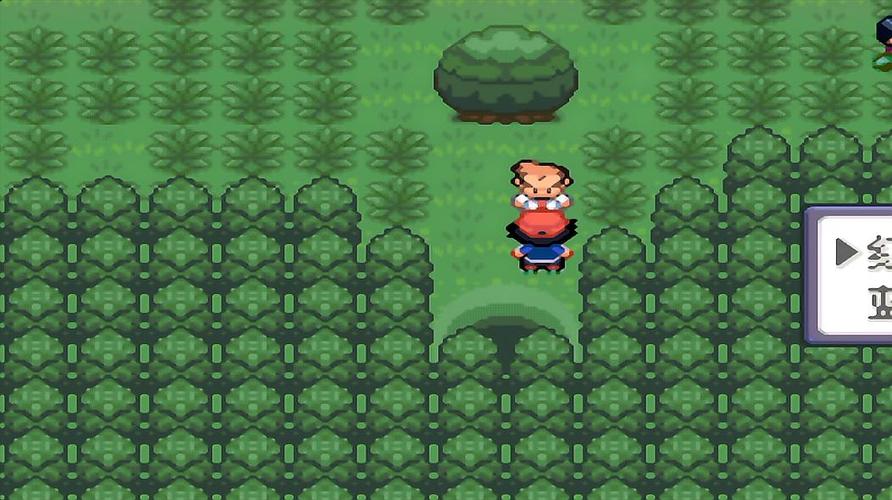 可拉可拉是什么意思