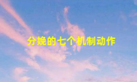 4个辅助动作,帮助你轻松分娩(分娩的七个机制动作)