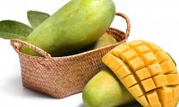 体寒的人可以吃芒果吗(寒性体质的人可以吃芒果吗)
