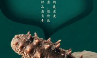 体寒的人可以吃海参吗(海参寒气重吗)