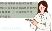 卵泡发育不好,有什么生育风险呢?(怎么知道卵泡是否排出)