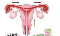 人工授精成功率高吗不要一言概之(一言既出的后面一句是什么）