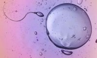 卵子最怕的7件事!(精子卵子结合后怕不怕热)