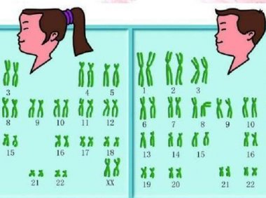 哪些人需要做染色体检查(做染色体检查是抽血吗）