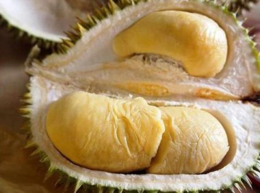 体寒的人可以吃榴莲吗(体寒的人夏天能吃榴莲)