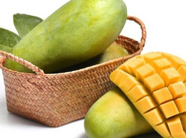 体寒的人可以吃芒果吗(寒性体质的人可以吃芒果吗)