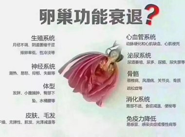 保养卵巢帮助日后怀孕(如何保护卵巢）