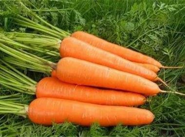 吃什么会导致不孕(担心怀孕了该怎么办)