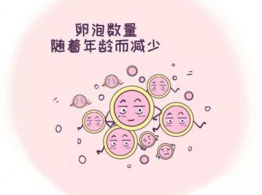 优质卵泡长啥样?卵泡发育不好要这样调理!(卵巢早衰怎么调理)