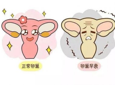 卵巢早衰会影响性生活吗(夫妻生活不和谐会引起卵巢早衰吗）