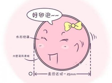 卵泡小容易受孕吗(卵泡小的原因有哪些）