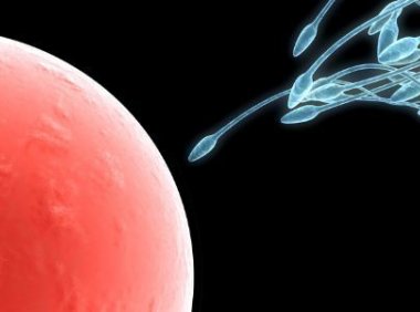 取卵前可以自慰吗自慰要注意哪些？(取卵前的注意事项有哪些）