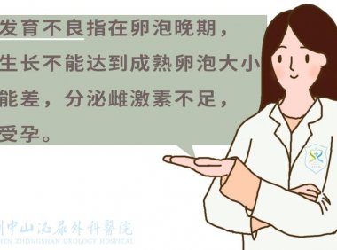 卵泡发育不好,有什么生育风险呢?(怎么知道卵泡是否排出)
