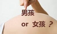 胎儿性别是什么时候形成的(香港检测胎儿男女机构)