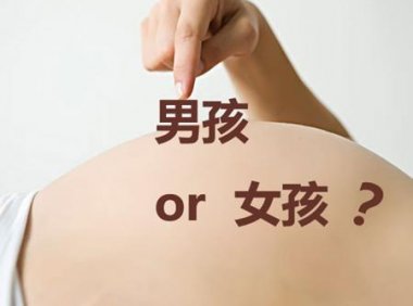 胎儿性别是什么时候形成的(香港检测胎儿男女机构)
