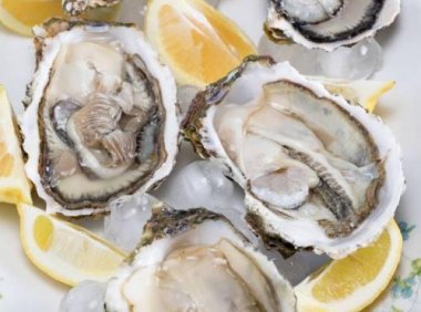 试管期间男吃生蚝可以吗(移植前可以吃生蚝吗)