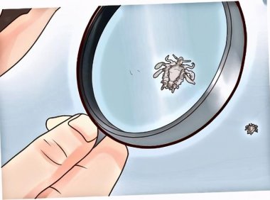 阴虱怕酒精吗你对酒精了解多少？(阴虱怕高锰酸钾吗）