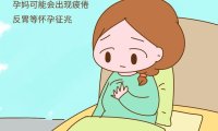 产后3个月内会怀孕吗(产后六个月怀孕怎么办)