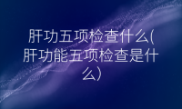 肝功五项检查什么(肝功能五项检查是什么)