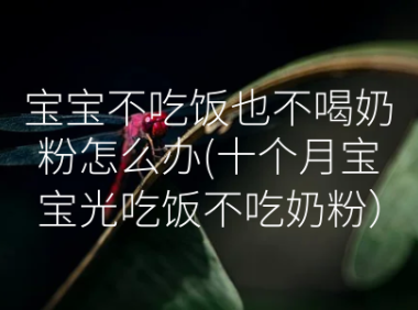 宝宝不吃饭也不喝奶粉怎么办(十个月宝宝光吃饭不吃奶粉）