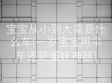宝宝从小到大需要什么车(一岁宝宝用伞车还是遛娃神器）