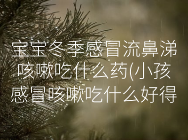 宝宝冬季感冒流鼻涕咳嗽吃什么药(小孩感冒咳嗽吃什么好得快)