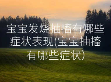 宝宝发烧抽搐有哪些症状表现(宝宝抽搐有哪些症状)