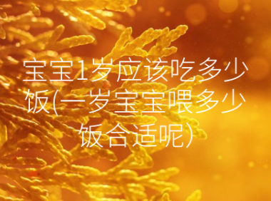 宝宝1岁应该吃多少饭(一岁宝宝喂多少饭合适呢）