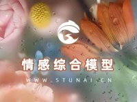 情感模型-11万数据-训练230万步(更新权重,二次训练)