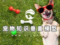 宠物垂直知识综合模型-19.5万学习语料，训练194万步